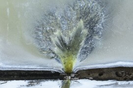 La Camargue vue du ciel. Ou l’art du sel. / © Thierry Vezon