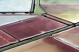 La Camargue vue du ciel. Ou l’art du sel. / © Thierry Vezon