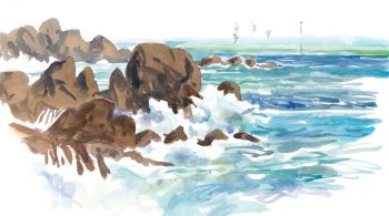La mer se retire peu à peu et dévoile les rochers de l’estran qui grouillent de vie.