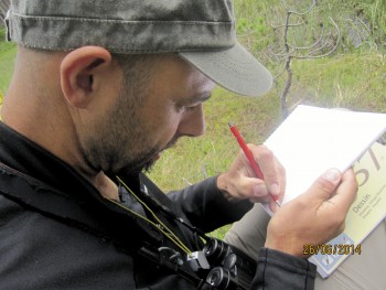 Le crayon de Jérôme Gremaud croque quelques droséras. / © Julien Perrot