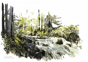 « Le long du Tabue, près du Casset 28.5.14 » « Le long du Tabue, près du Casset 28.5.14 »