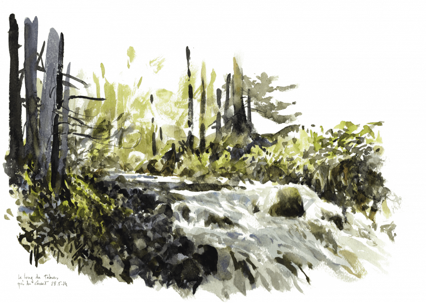 Torrent source du printemps