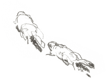 Marmottes / © Denis Clavreul