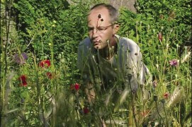 Comme son nom l’indique, le porte-graine est la plante que vous allez laisser pousser jusqu’à ce qu’elle fleurisse, puis produise ses graines. La graine étant le reflet fidèle de l’espèce choisie, votre porte-graine doit être le plus beau possible, sans maladie ni défaut. Pensez à le marquer avec un piquet ou un brin de laine attaché à la tige lorsqu'il est en fleur, histoire de le retrouver plus tard.