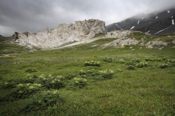 Réputée pour ses richesses botaniques, la Greina offre aussi un paysage géomorphologique étonnant. 
