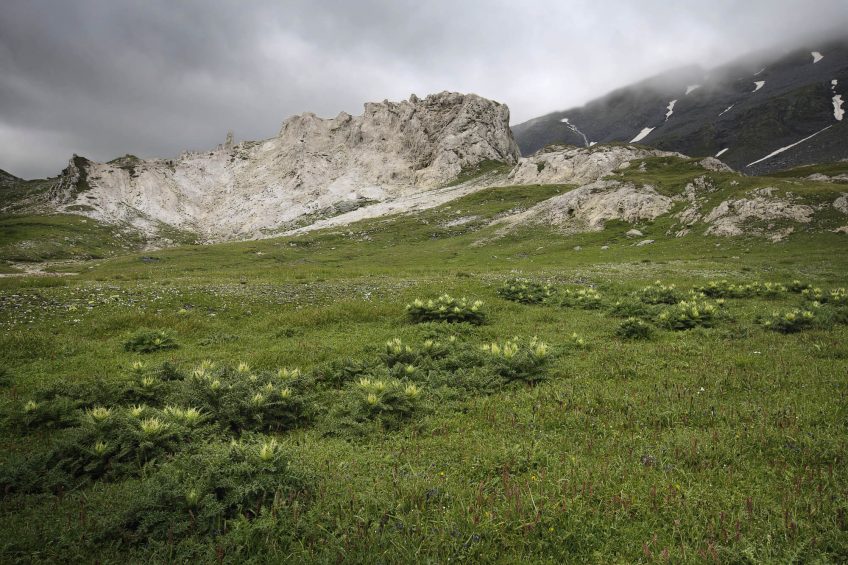 On va marcher sur la Greina