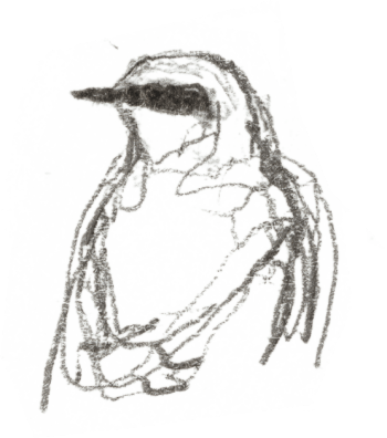 Traquet motteux / © Denis Clavreul