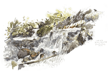 «  Vallée de la Guisane, le long du Rif près du Pont de l’Alpe » 28.5.14 / © Denis Clavreul