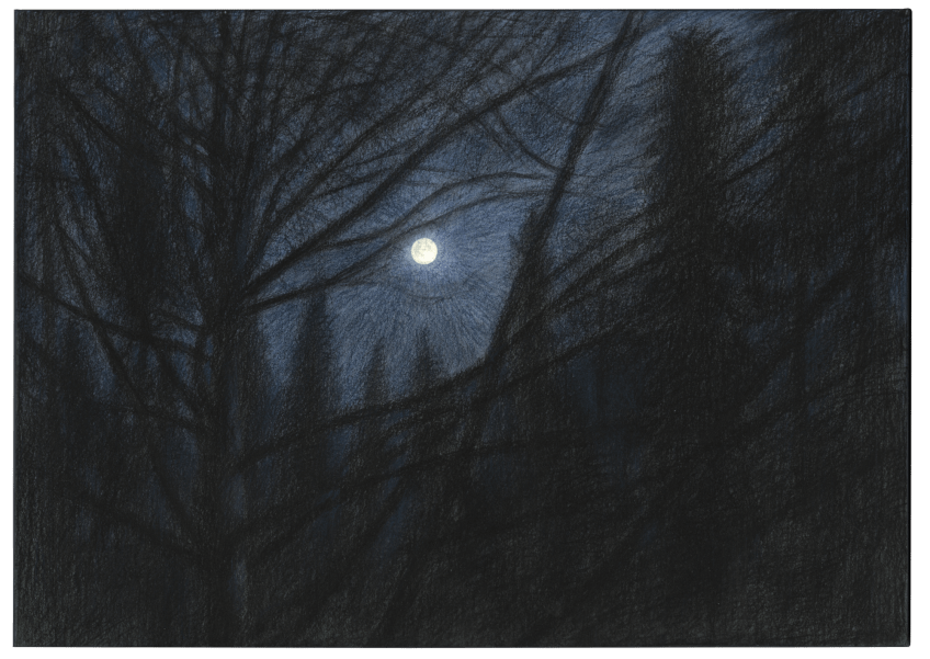 Le hêtre du peintre Jacques Rime