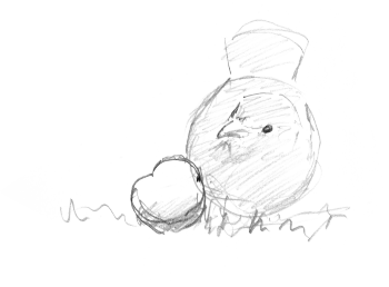 « 24 novembre - merle méfiant. Il hésite devant le fruit. » / © Yves Fagniart