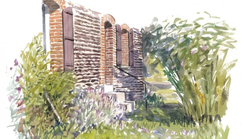 A la recherche des papillons dans le jardin Naissance d'une vanesse, le papillon belle-dame