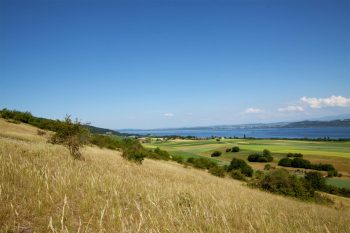 Balcon ensoleillé sur le lac de Neuchâtel, la Chassagne abrite plus de 300 espèces de plantes. 