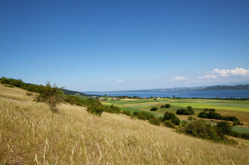 Balade à la Chassagne d'Onnens, la Provence vaudroise