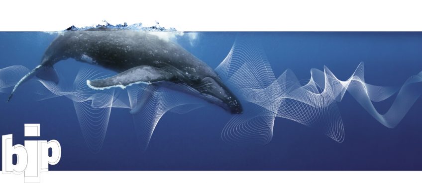 Le faux silence des animaux