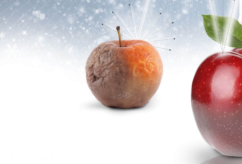 Mieux comprendre les secrets du blanc avec Libero Zuppiroli