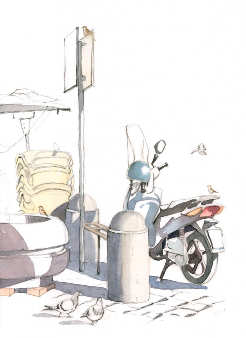 Chaque élément de la ville est un perchoir potentiel à moineaux Un instant en terrasse avec les moineaux, par Federico Gemma