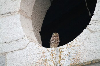 La rivière Doubs en liberté