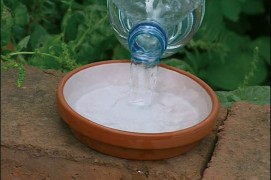 Sauvez-le de la surchauffe
En été, lors des périodes de sécheresse, les hérissons peuvent gravement souffrir de déshydratation. Une soucoupe d’eau disposée dans un endroit tranquille leur permettra d’étancher leur soif. Mais n'y mettez jamais de lait, ça leur donne la diarrhée !