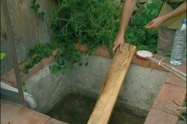 Evitez les noyades
Les bassins, les mares et les piscines de jardin sont des pièges mortels s’ils ont des bords abrupts. Si un hérisson trop curieux y tombe, il ne pourra plus remonter et, épuisé, finira par s’y noyer. Pour éviter ce genre de drame, aménagez les mares avec un bord en pente douce et laissez en permanence une planche de salut à moitié dans votre piscine.