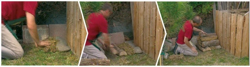 Hérisson : Transformez votre jardin pour l'accueillir