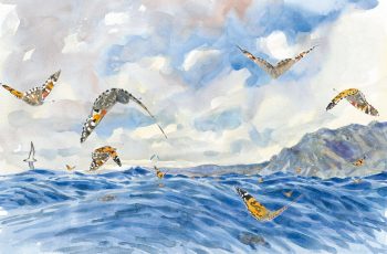 Courageuses belles-dames au-dessus des vagues