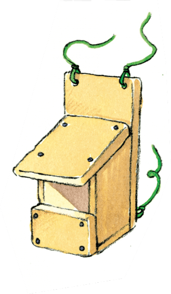 Le temps des nichoirs