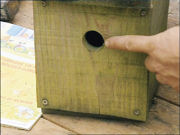 Le temps des nichoirs