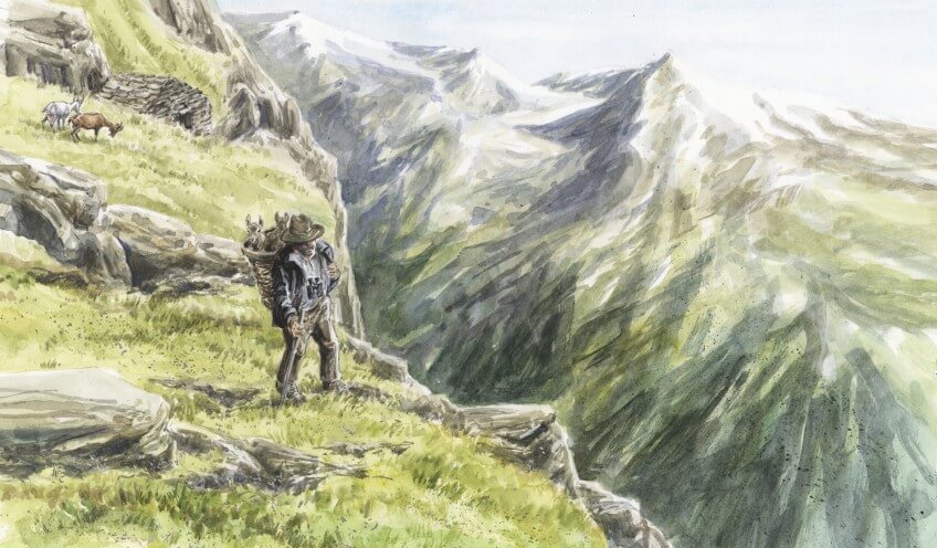 Deux cabris transportés à dos de contrebandier à destination des Alpes suisses. Le trafic des jeunes bouquetins