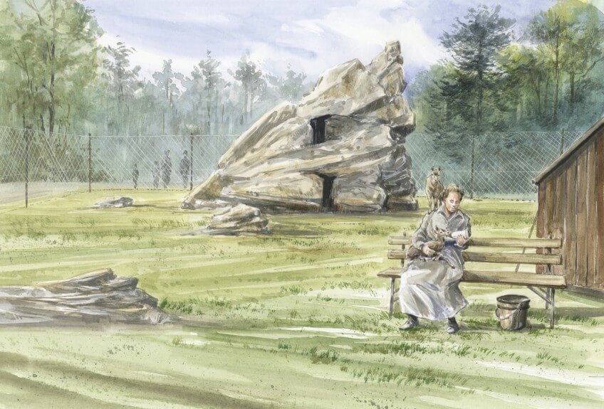 Deux petits bouquetins du Val d'Aoste chouchoutés en vue de leur éventuelle réintroduction dans les Alpes suisses. Un jardin pour bouquetins