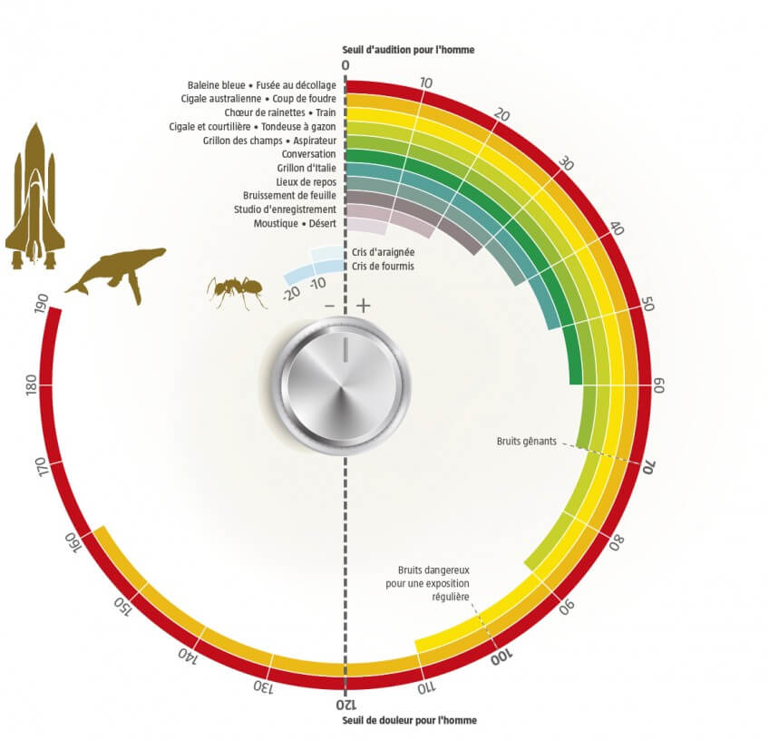 Bioacoustique et sons de la nature