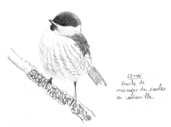 © Jean-Philippe Paul