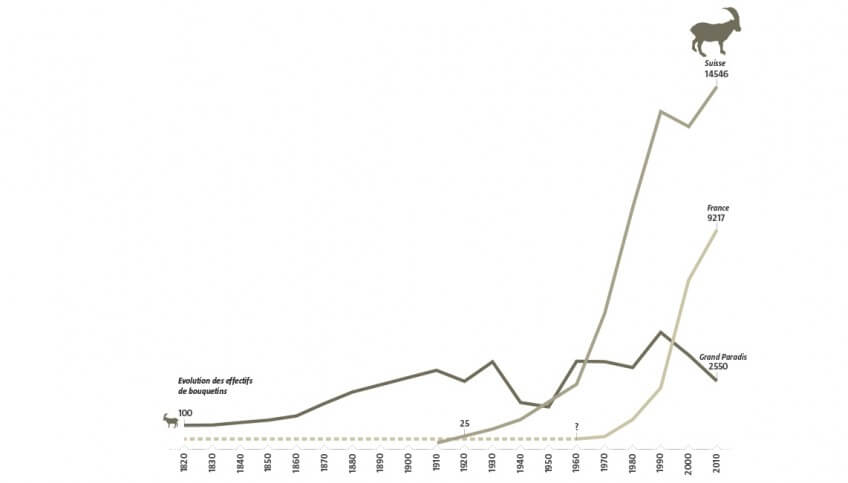 Evolution des effectufs de bouquetins en Suisse, France et au Grand Paradis Le bouquetin dans les Alpes en 2000 ans d'histoire