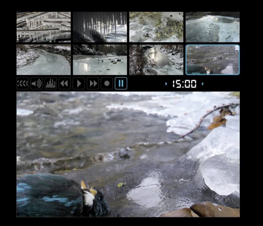 Extraits du film "Le roi pêcheur" Coulisses du Roi pêcheur avec son réalisateur Vincent Chabloz