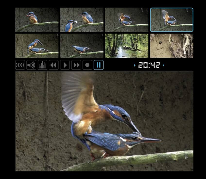 Extraits du film "Le roi pêcheur" Coulisses du Roi pêcheur avec son réalisateur Vincent Chabloz