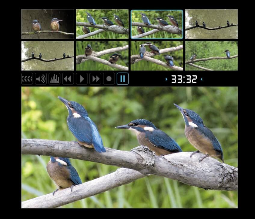 Extraits du film "Le roi pêcheur" Coulisses du Roi pêcheur avec son réalisateur Vincent Chabloz