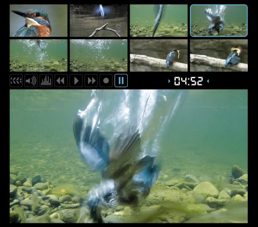 Extraits du film "Le roi pêcheur" Coulisses du Roi pêcheur avec son réalisateur Vincent Chabloz