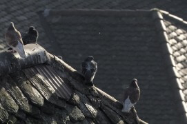 Extraits du film Sentinelle de Vincent Chabloz. / © Vincent Chabloz