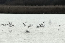 Extraits du film Sentinelle de Vincent Chabloz. / © Vincent Chabloz