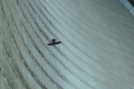 Extraits du film Sentinelle de Vincent Chabloz. / © Vincent Chabloz