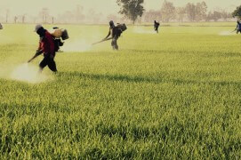 Extraits du film Sentinelle de Vincent Chabloz. / © Vincent Chabloz