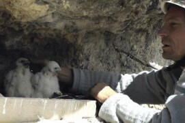 Extraits du film Sentinelle de Vincent Chabloz. / © Vincent Chabloz