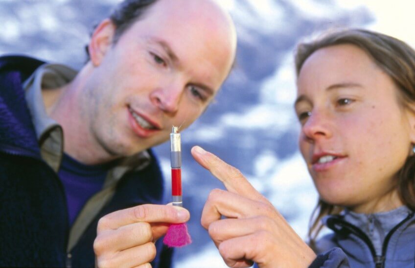 Lukas Keller (à gauche) et Iris Biebach (à droite) ont conçu une fléchette spéciale pour étudier la génétique des bouquetins. Tiré à l’aide d’un fusil à air comprimé, l’engin touche sa cible avec une force suffisante pour traverser le pelage et atteindre la peau… mais sans blesser l’animal. Après avoir arraché un fragment de tissu, la fléchette tombe au sol où le chercheur peut la récupérer aisément. Cette technique révolutionnaire évite de devoir endormir les bouquetins. Les bouquetins serait-il consanguins ?