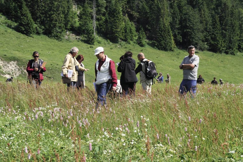 Concours des prairies fleuries dans le haut Jura 2014