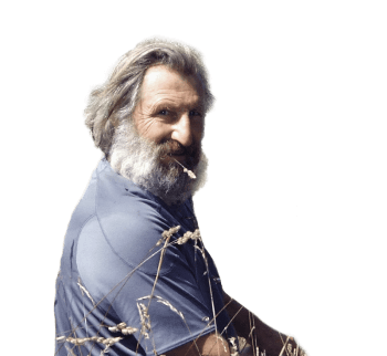 Jean-Yves Cretin Pourquoi certaines fourmis ont des ailes ?