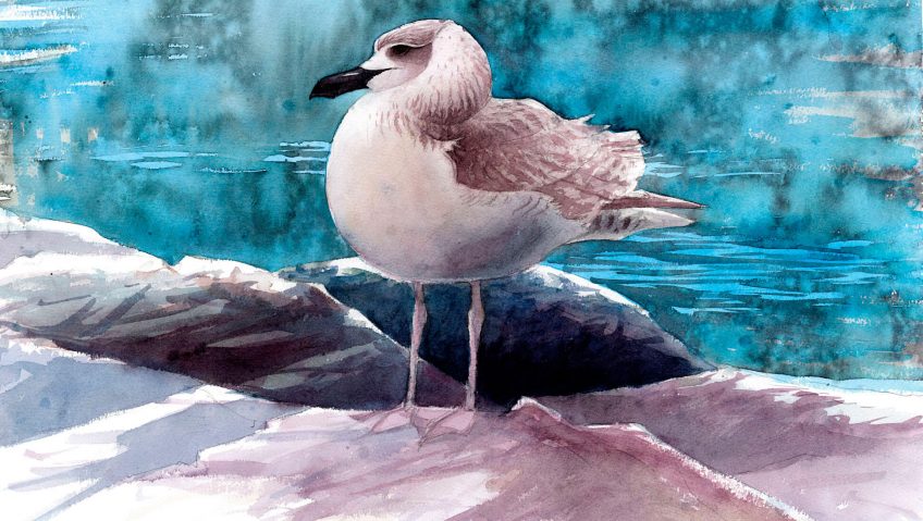 Regards d'artistes sur les rivages