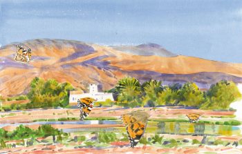 La belle-dame s'oriente avec le soleil, en adaptant finement son analyse grâce à son horloge interne. La belle-dame s'oriente avec le soleil, en adaptant finement son analyse grâce à son horloge interne.