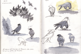 Le carnet de Federico Gemma / © Federico Gemma