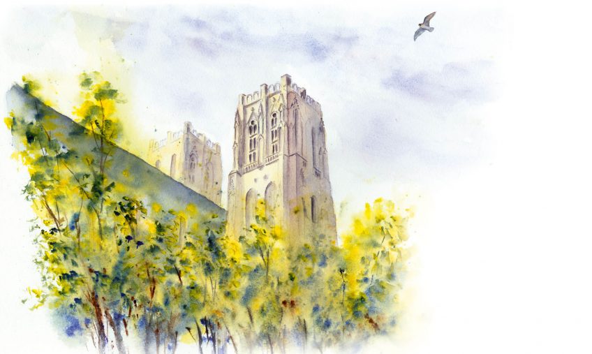 Le faucon des gargouilles