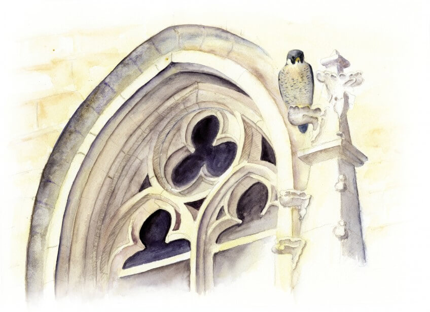 Le faucon des gargouilles