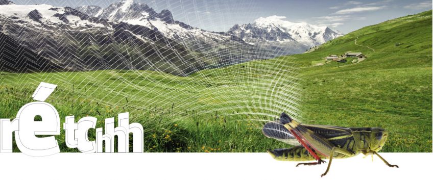 Les joueurs de violon dans la nature